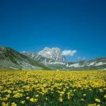 Abruzzo 1